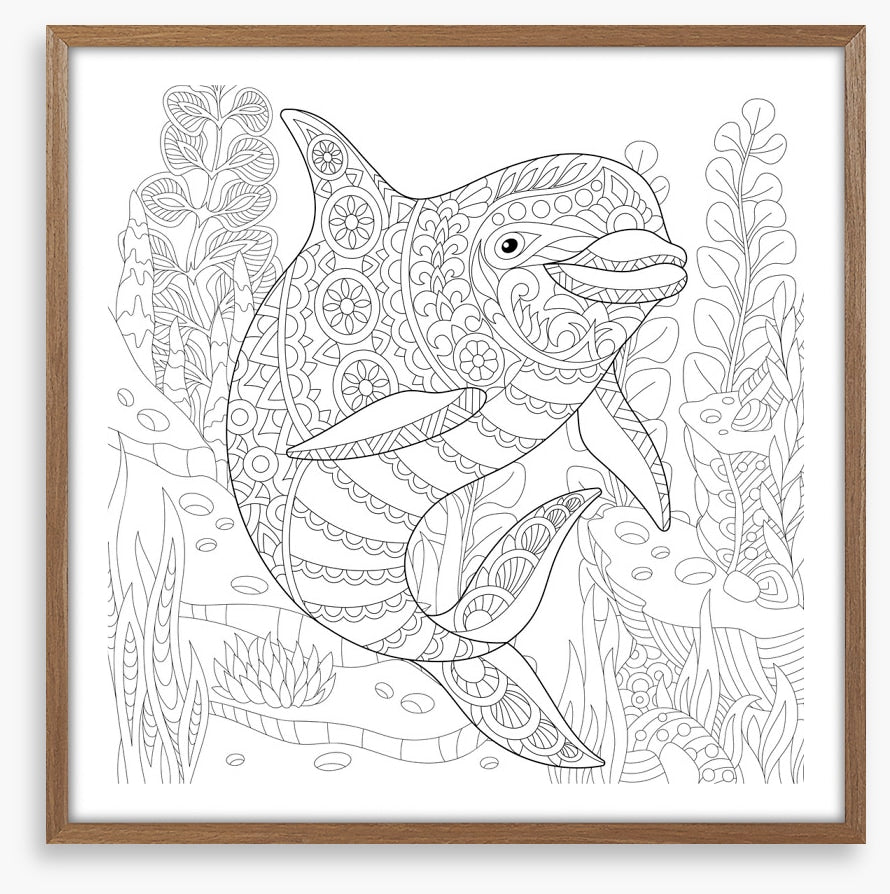 Colour me dolphin