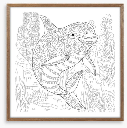 Colour me dolphin