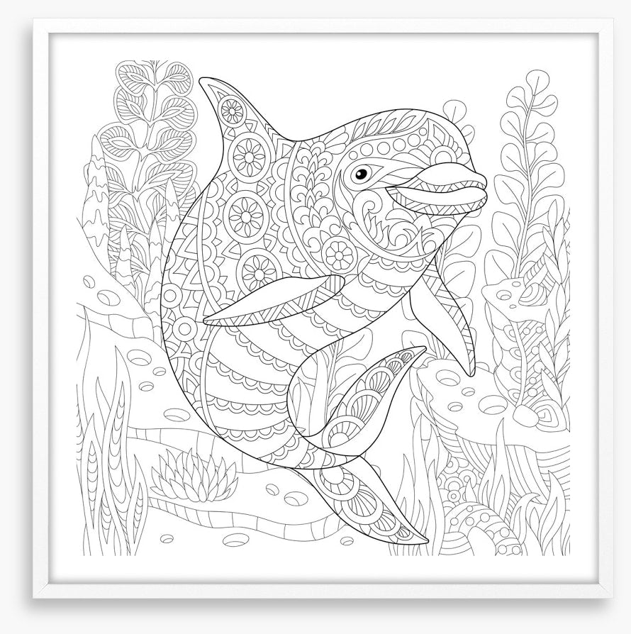 Colour me dolphin