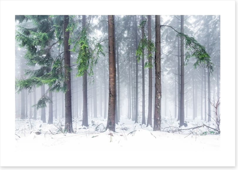Snowfall greens