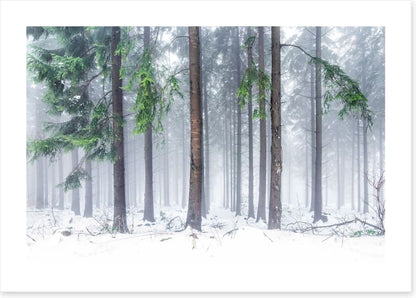 Snowfall greens
