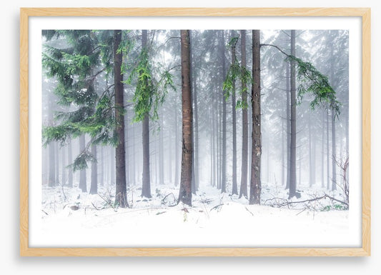 Snowfall greens
