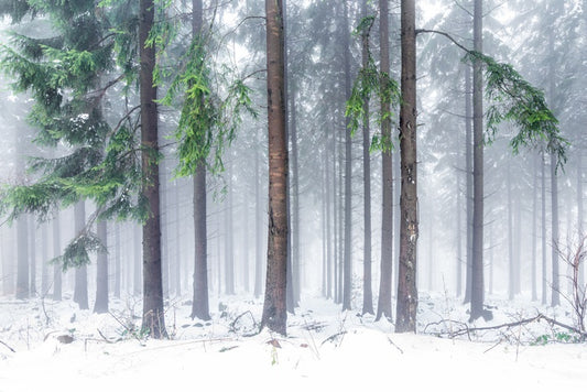 Snowfall greens