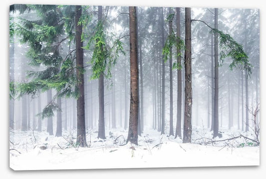 Snowfall greens