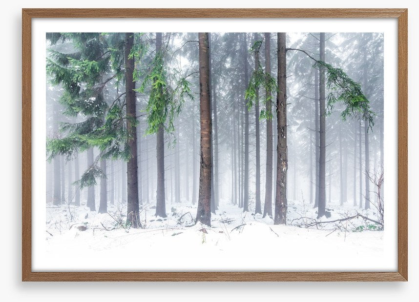 Snowfall greens