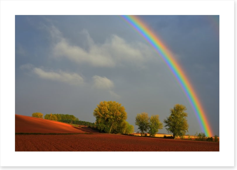 Rainbows