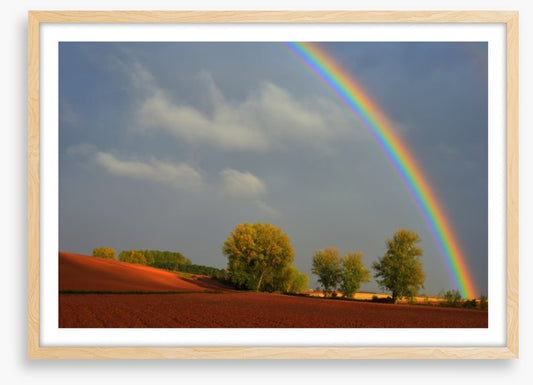 Rainbows