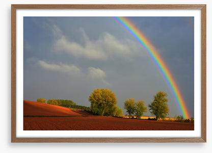 Rainbows