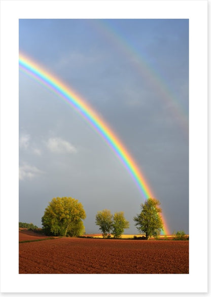 Rainbows