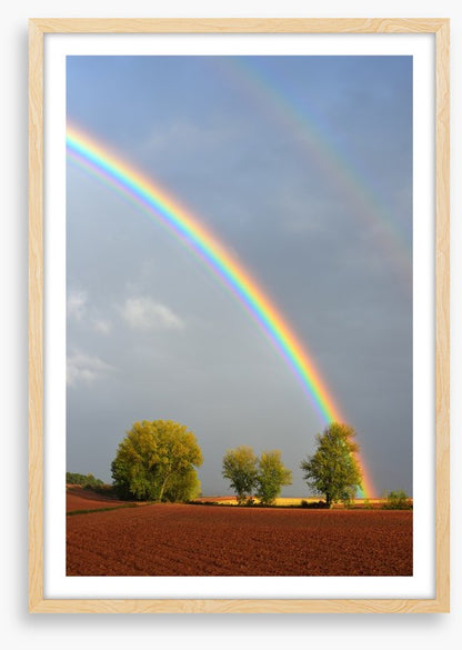 Rainbows