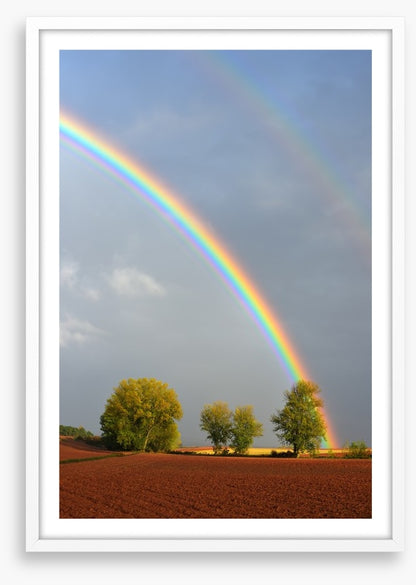 Rainbows