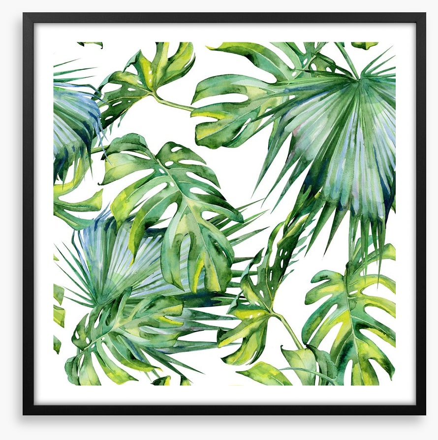 Tropical jungle leaves