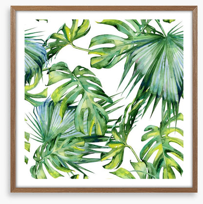 Tropical jungle leaves