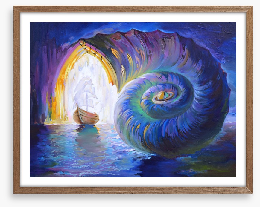 Seashell sail