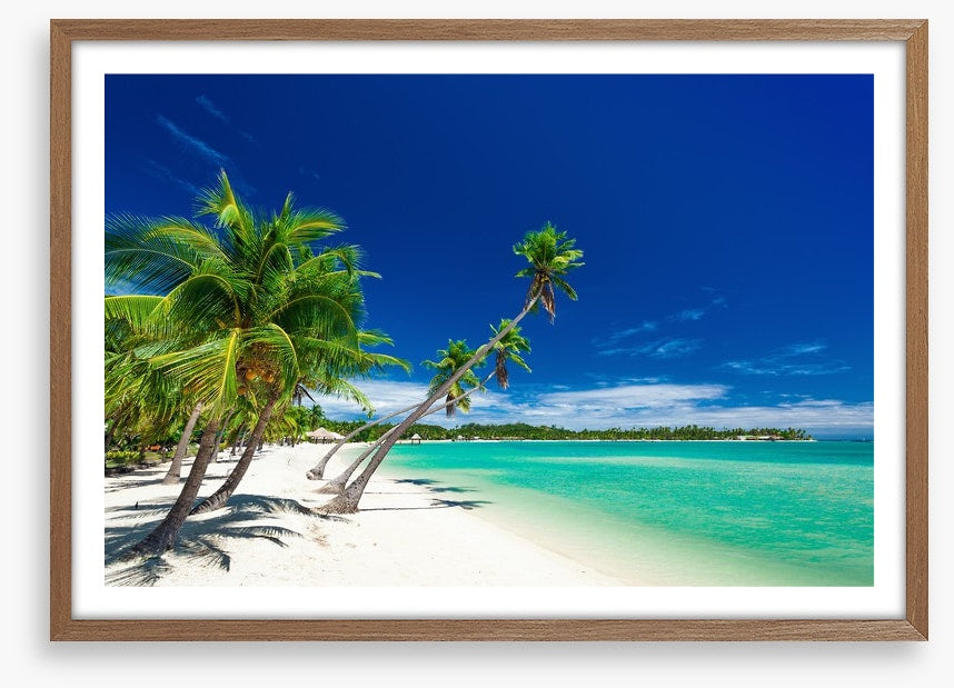 Plantation Island, Fiji
