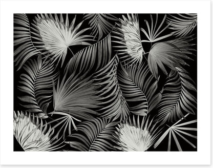 Palms in the dark