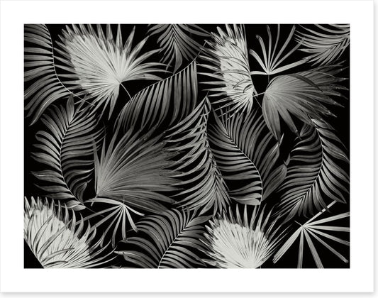 Palms in the dark
