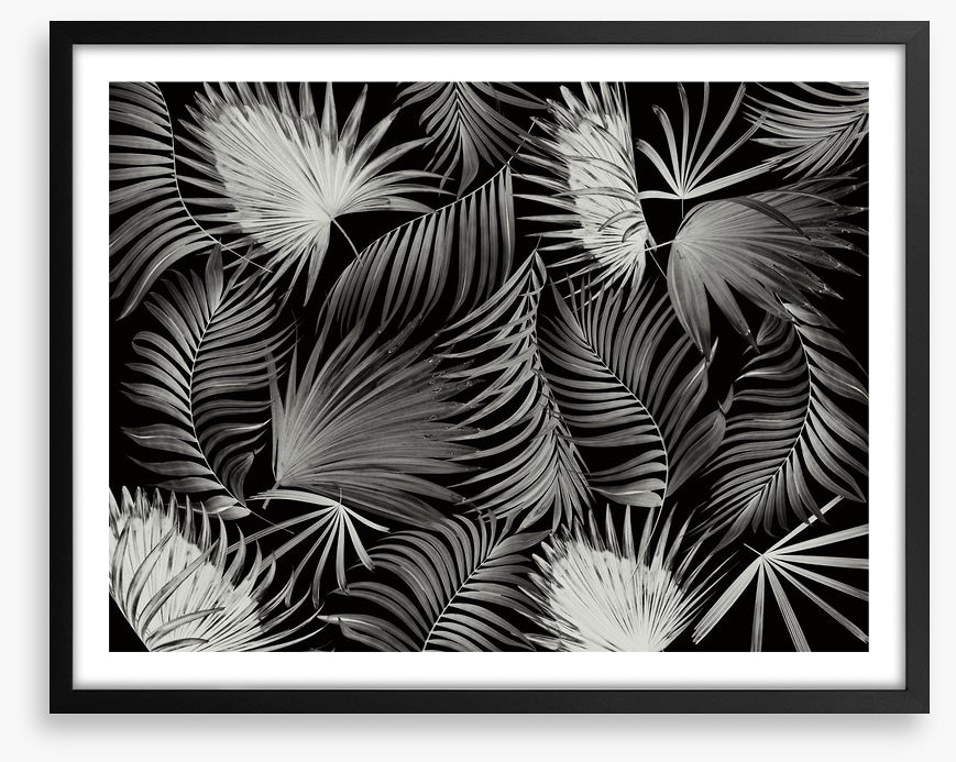 Palms in the dark