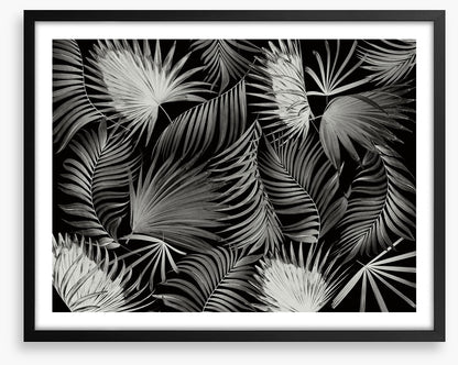 Palms in the dark