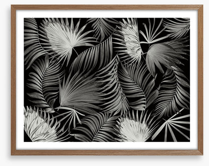 Palms in the dark