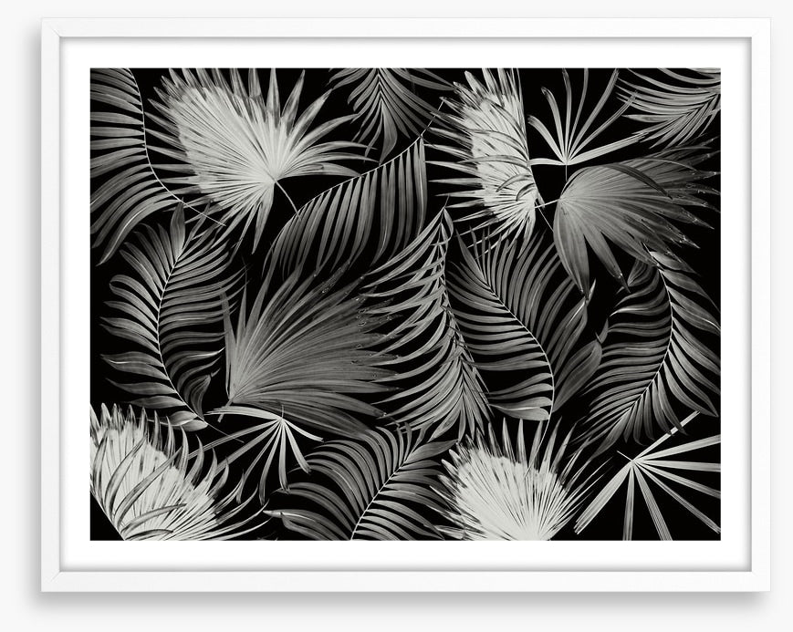 Palms in the dark