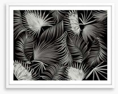 Palms in the dark