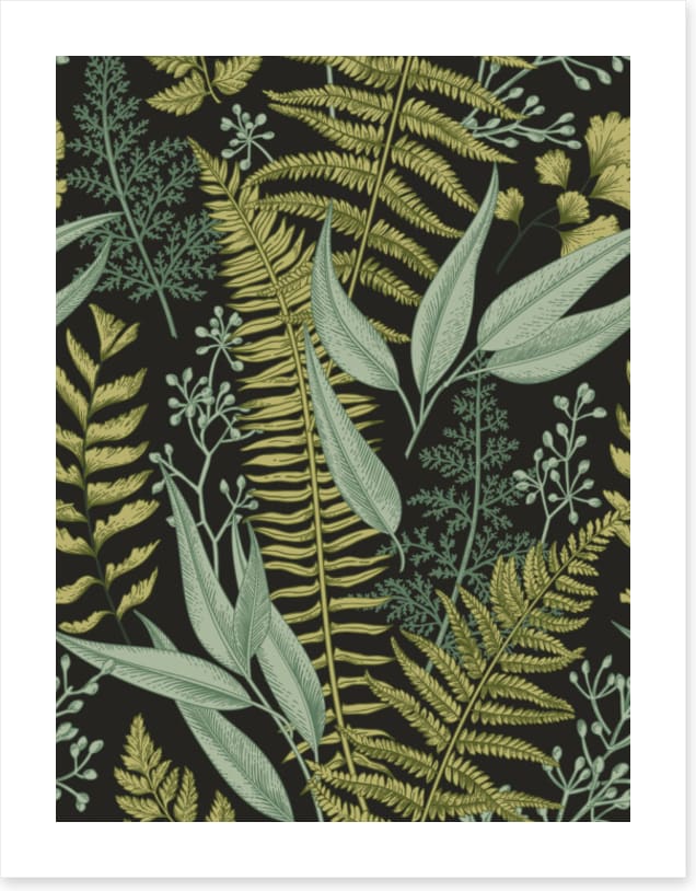 Ferny friends 2