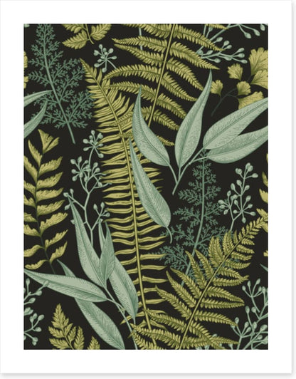 Ferny friends 2