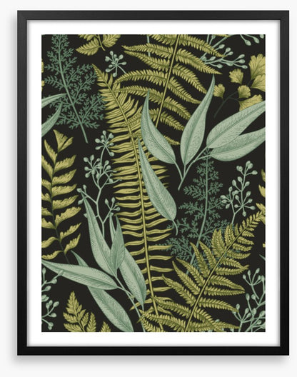 Ferny friends 2