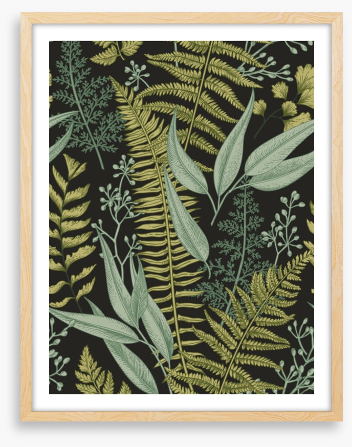 Ferny friends 2