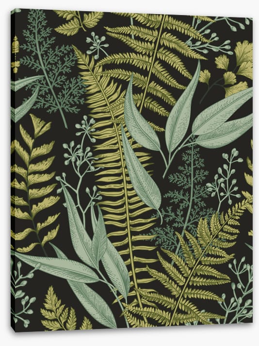 Ferny friends 2