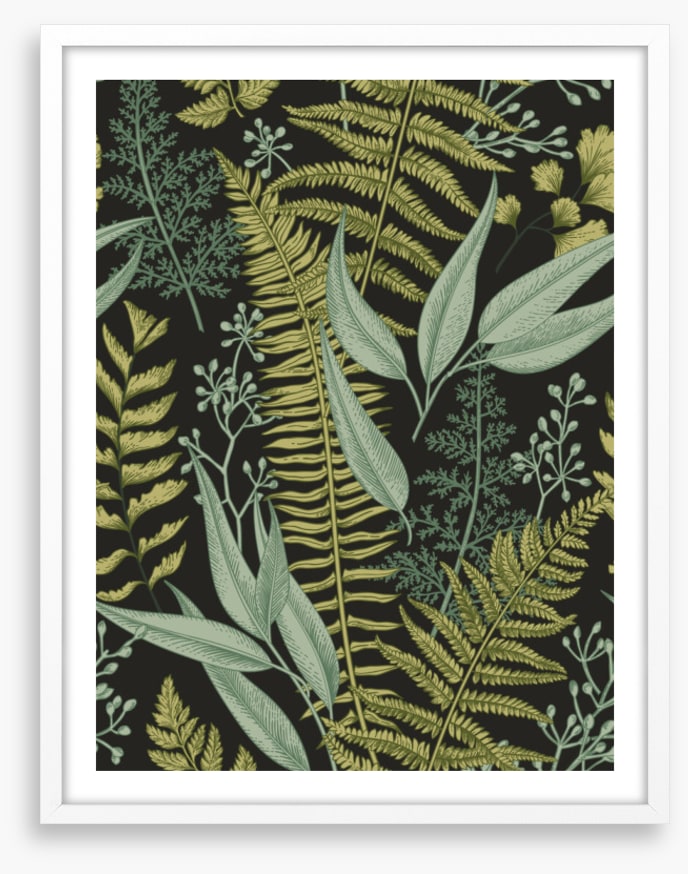 Ferny friends 2
