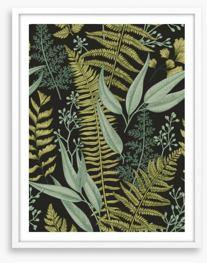 Ferny friends 2