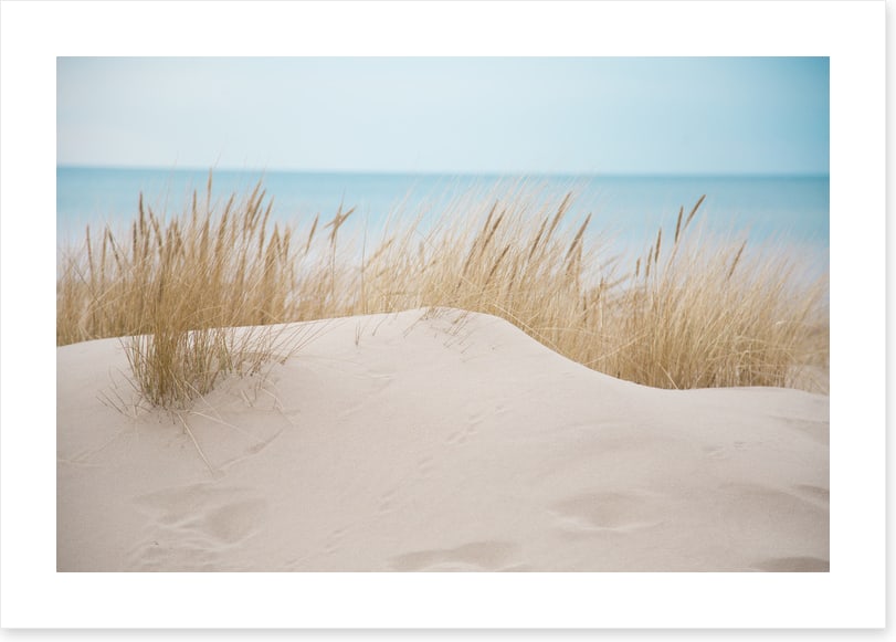 Sandgrass shores