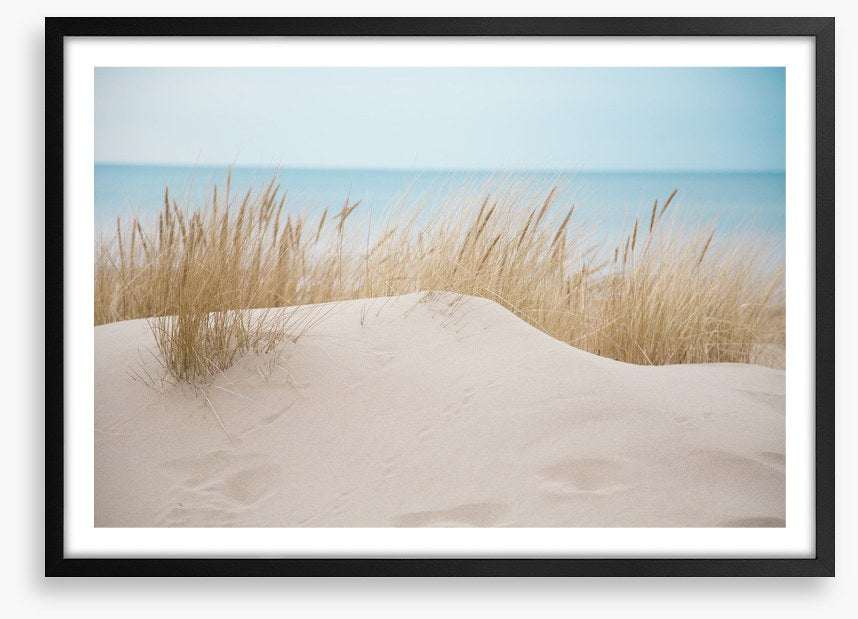 Sandgrass shores