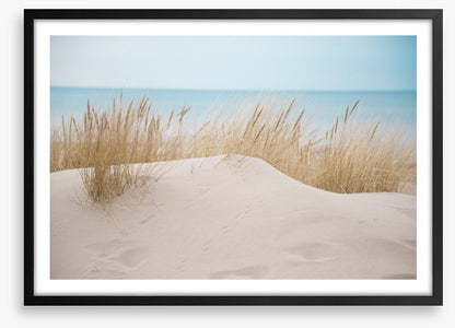Sandgrass shores