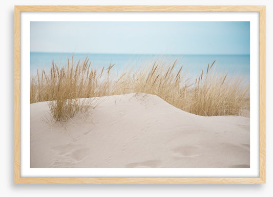 Sandgrass shores