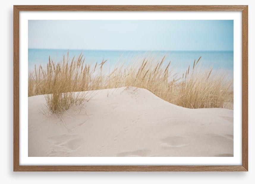Sandgrass shores