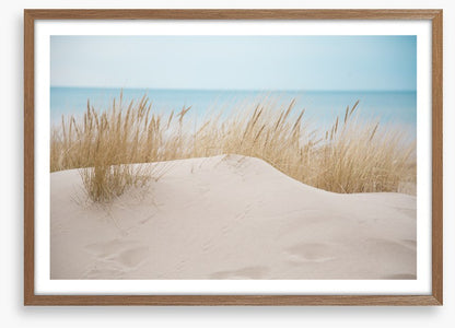 Sandgrass shores
