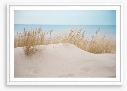 Sandgrass shores