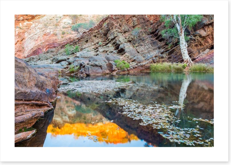 Hamersley Gorge, Karijini