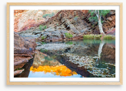 Hamersley Gorge, Karijini
