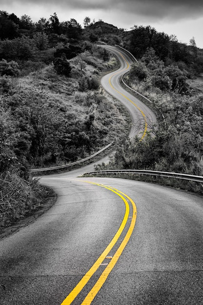 Yellow lines