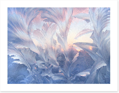 A frozen moment