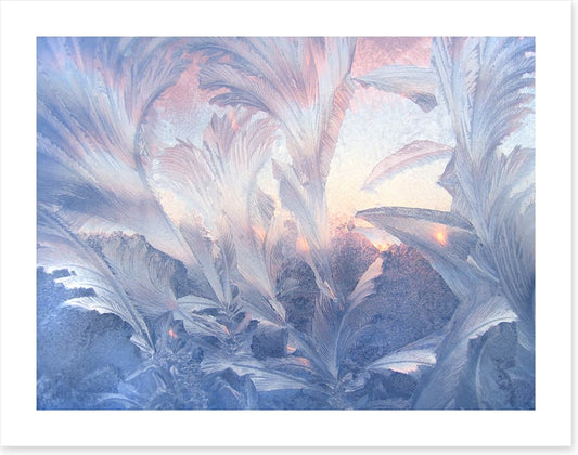 A frozen moment