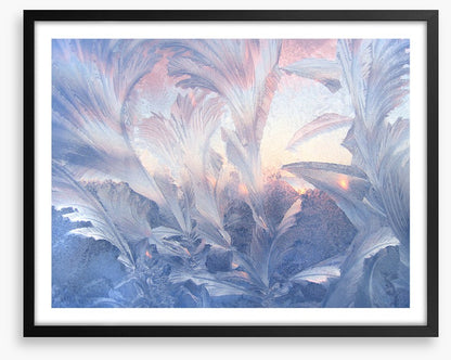 A frozen moment
