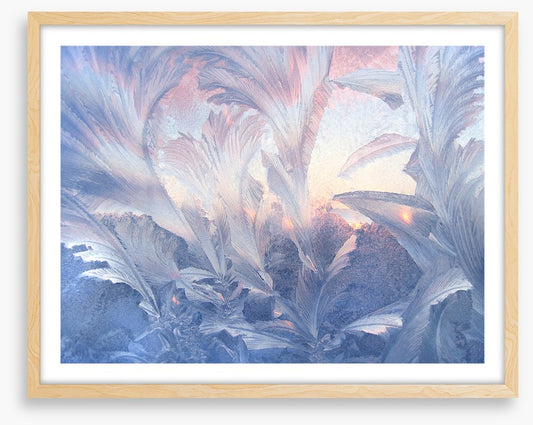 A frozen moment