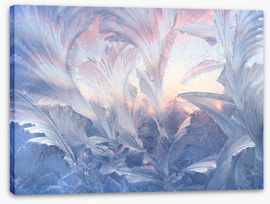 A frozen moment