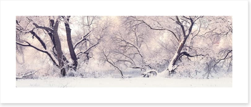 Soft snow branches