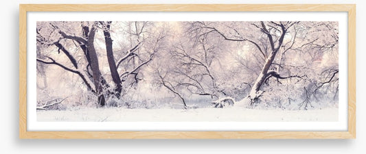 Soft snow branches